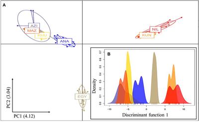 Linkage Disequilibrium and Effective Population Size of Buffalo Populations of Iran, Turkey, Pakistan, and Egypt Using a Medium Density SNP Array